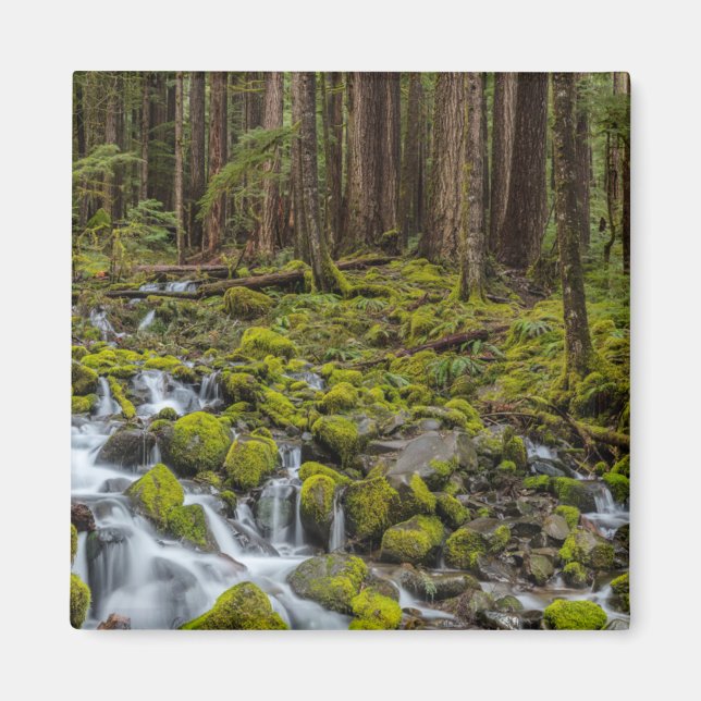 Imã Parque Nacional Olímpico, Estado de Washington (Frente)