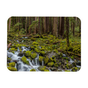 Ímã Parque Nacional Olímpico, Estado de Washington