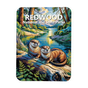 Ímã Parque Nacional Redwood Animais Lontras Estilo Van