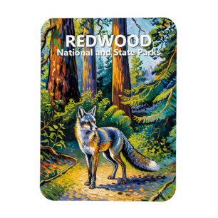 Ímã Parque Nacional Redwood Van Gogh Floresta Raposa P