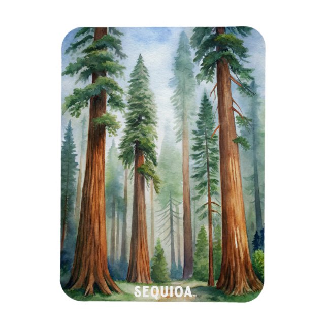 Ímã Parque Nacional Retro Sequoia (Vertical)
