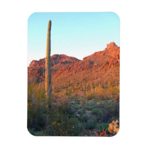 Ímã Parque nacional Saguaro