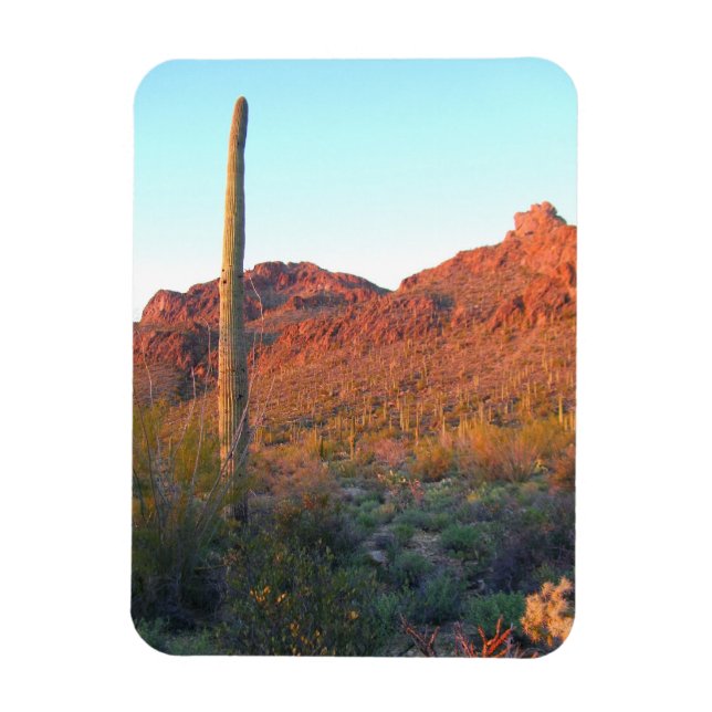 Ímã Parque nacional Saguaro (Vertical)