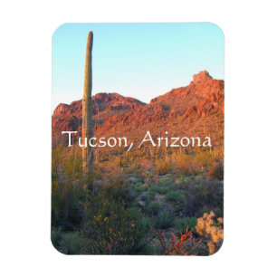 Ímã Parque nacional Saguaro, Arizona de Tucson