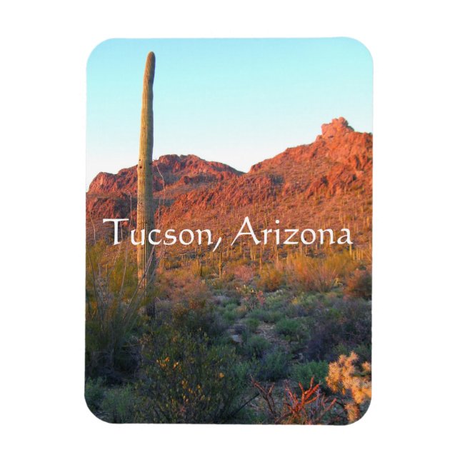 Ímã Parque nacional Saguaro, Tucson Arizona (Vertical)