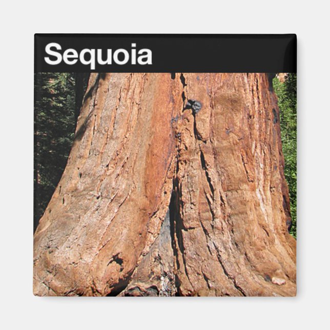 Imã Parque Nacional Sequoia (Frente)