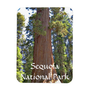 Ímã Parque Nacional Sequoia