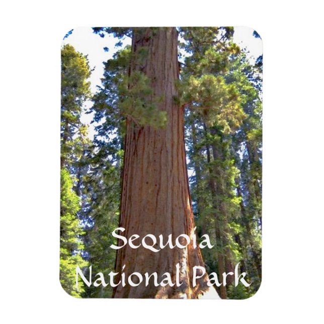 Ímã Parque Nacional Sequoia (Vertical)