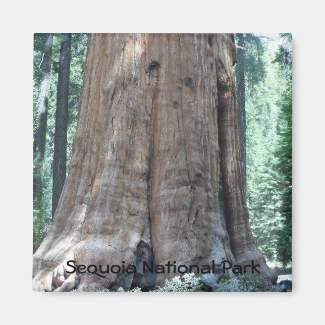 Imã Parque Nacional Sequoia (Frente)