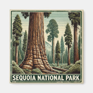 Imã Parque Nacional Sequoia
