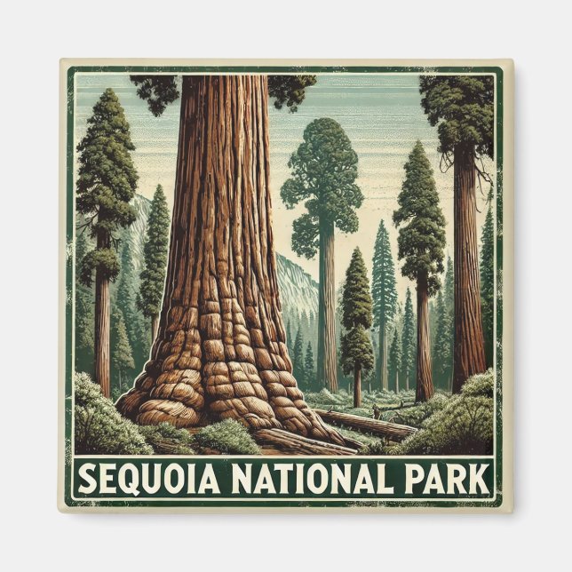 Imã Parque Nacional Sequoia (Frente)