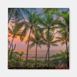 Imã Parque nacional tropical da praia   Corcovado