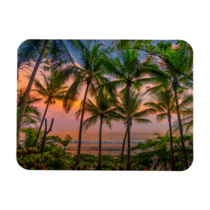 Ímã Parque nacional tropical da praia   Corcovado