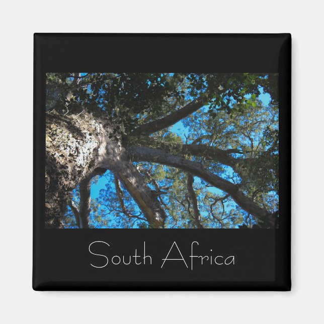 Imã Parque Nacional Tsitsikamma África do Sul (Frente)
