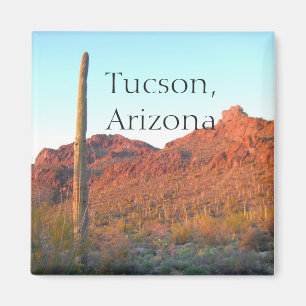 Imã Parque nacional Tucson de Saguaro, arizona