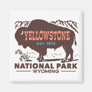 Imã Parque Nacional Yellowstone