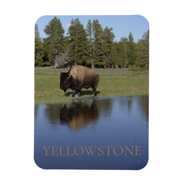Ímã Parque Nacional Yellowstone Bison (Vertical)