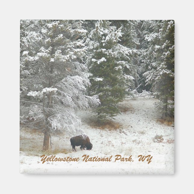 Imã Parque Nacional Yellowstone, WY (Frente)