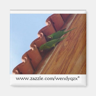 Imã Parrot Pair