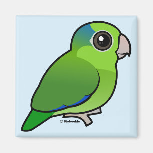 Imã Parrotlet Pacífico Verde