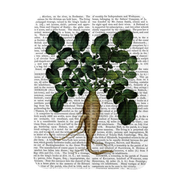 Ímã Parsnip 1 (Vertical)