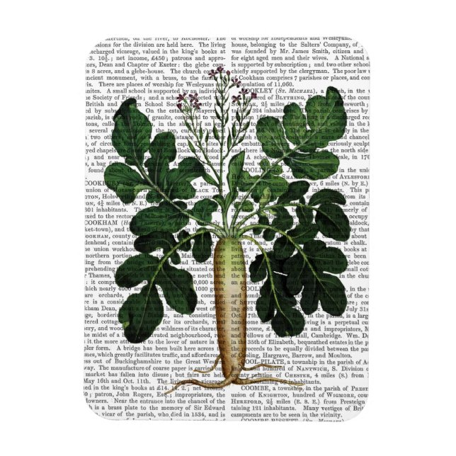 Ímã Parsnip 3 (Vertical)