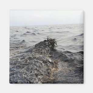 Imã Parte de um liso de óleo no Golfo do México