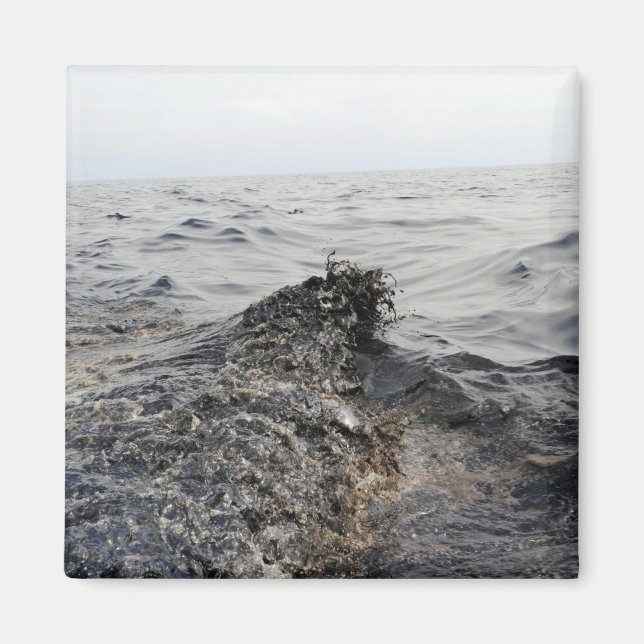 Imã Parte de uma maré negra no Golfo do México (Frente)