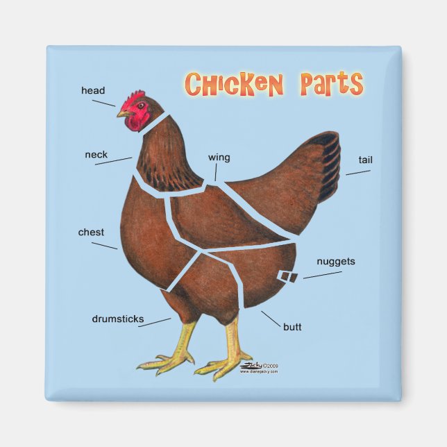 Imã Partes de Frango (Frente)
