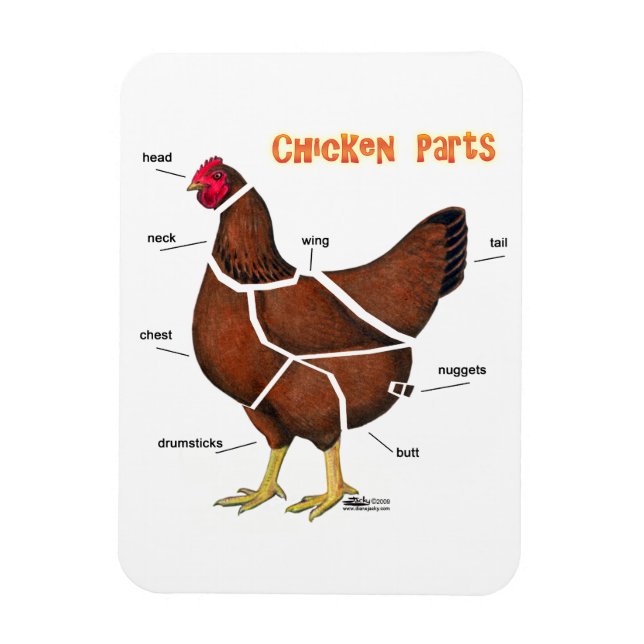 Ímã Partes de Frango (Vertical)