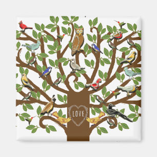 Imã Partido da Reunião Familiar