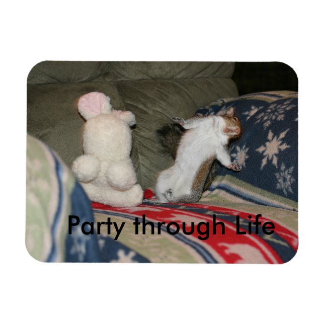 Ímã Partir através do Magnet (Horizontal)