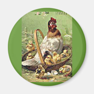 Imã Páscoa e Pintinhos no soquete