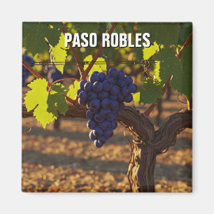 Imã Paso Robles Califórnia Costa Central