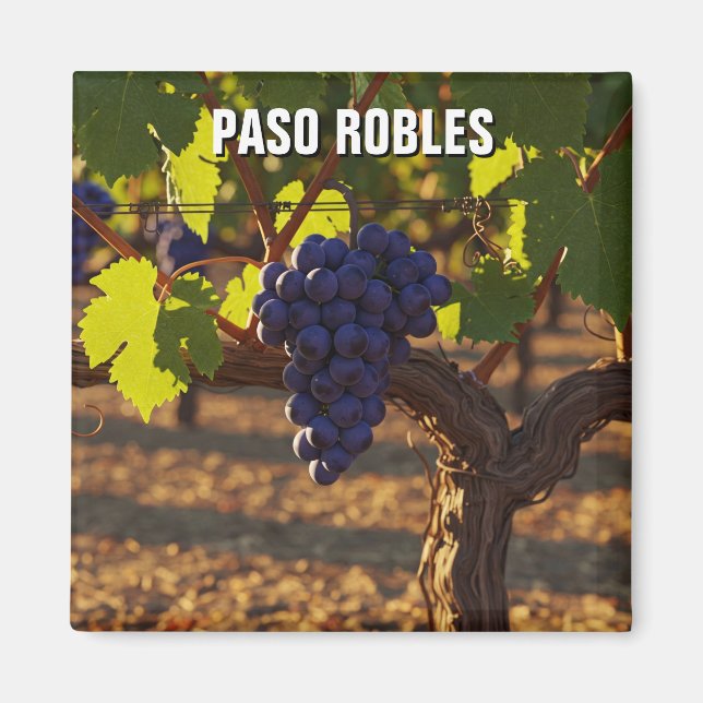Imã Paso Robles Califórnia Costa Central (Frente)