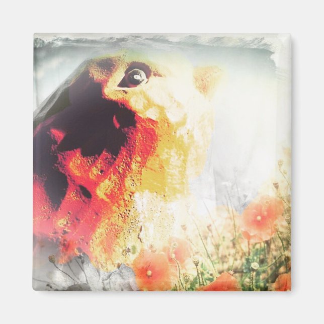 Imã Pássaro (Frente)