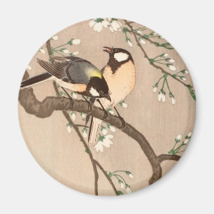 Imã Pássaro asiático chinês Chicadee