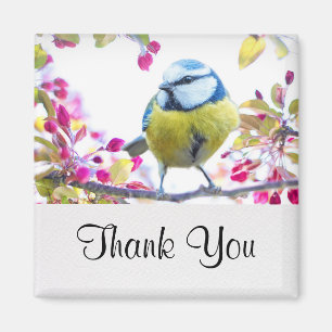 Imã  Pássaro Azul e Amarelo bonito em uma Fotografia 