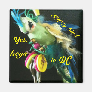 Imã Pássaro cigano