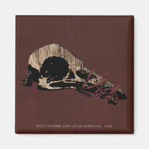 Imã Pássaro Crânio