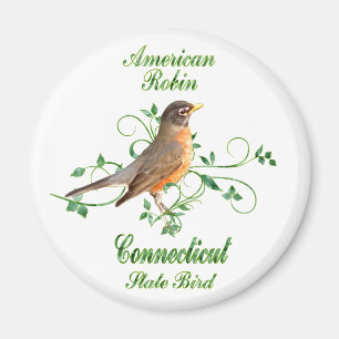 Imã Pássaro de estado de Connecticut do pisco de peit