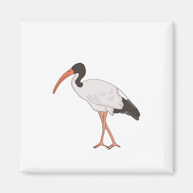 Imã Pássaro de frango Caixa Ibis (Frente)