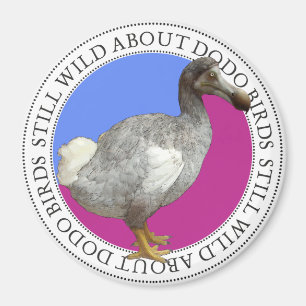 Imã Pássaro do Dodo