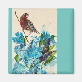 Imã Pássaro em um ímã de ramificação