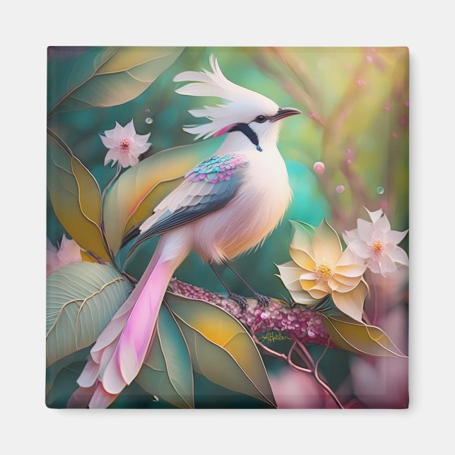 Imã Pássaro Fantasia Branca - Blush Tail Jay (Frente)
