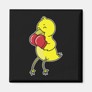 Imã Pássaro Faz Boxe
