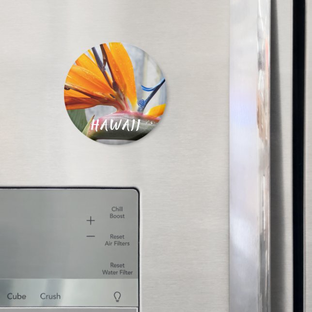 Imã Pássaro Havaí da Flor da Fábrica de Paraíso (In Situ (Fridge))