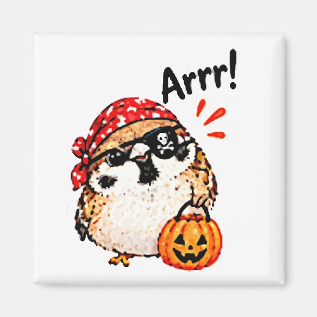 Imã Pássaro Pardal Chibi Fofo Pirata do Halloween Dive (Frente)