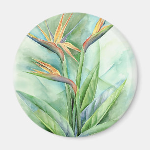 Imã Pássaro tropical da flor da pintura do paraíso -