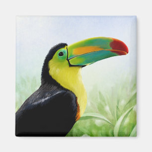 Imã Pássaro Tropical Negro Amarelo Verde Colorido